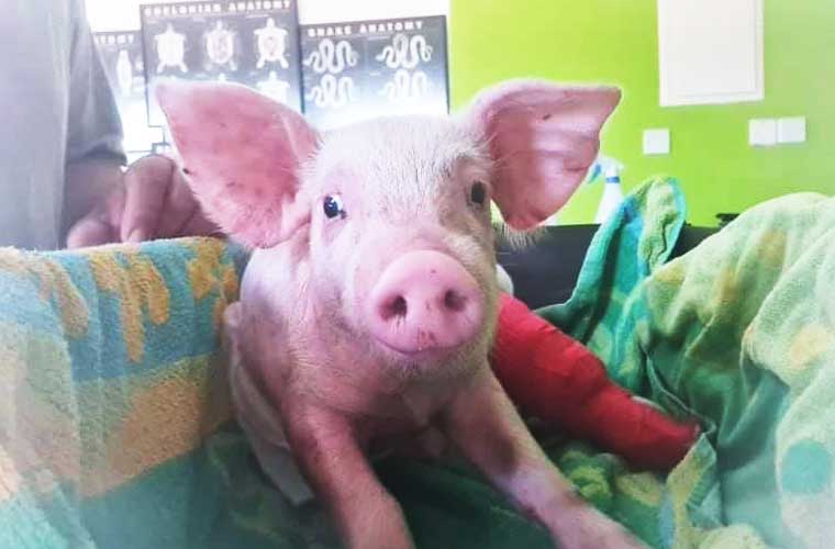 Παγκόσμια ημέρα περιβάλλοντος